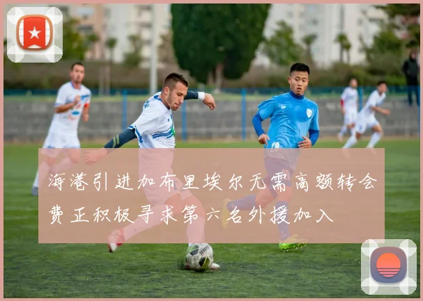 海港引进加布里埃尔无需高额转会费正积极寻求第六名外援加入